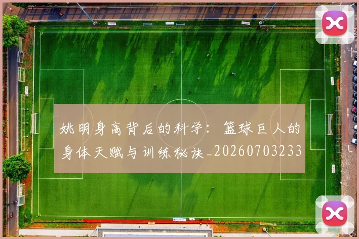 姚明身高背后的科学：篮球巨人的身体天赋与训练秘诀_20260703233107