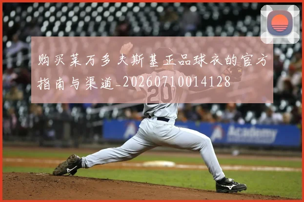 购买莱万多夫斯基正品球衣的官方指南与渠道_20260710014128