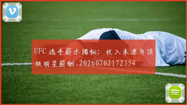 UFC 选手薪水揭秘：收入来源与顶级明星薪酬_20260702172354