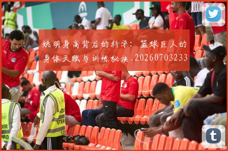 姚明身高背后的科学：篮球巨人的身体天赋与训练秘诀_20260703233107